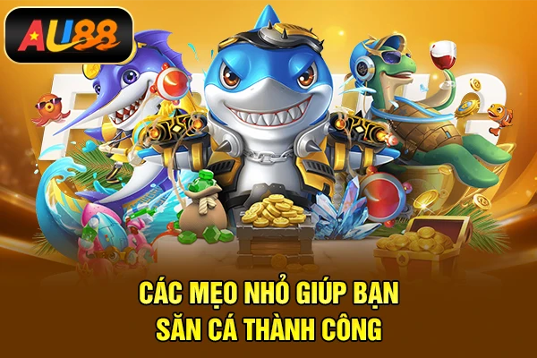 Các mẹo nhỏ giúp bạn săn cá thành công