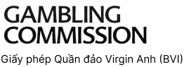 Giấy phép BVI
