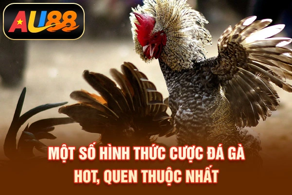 Một số hình thức cược đá gà hot, quen thuộc nhất